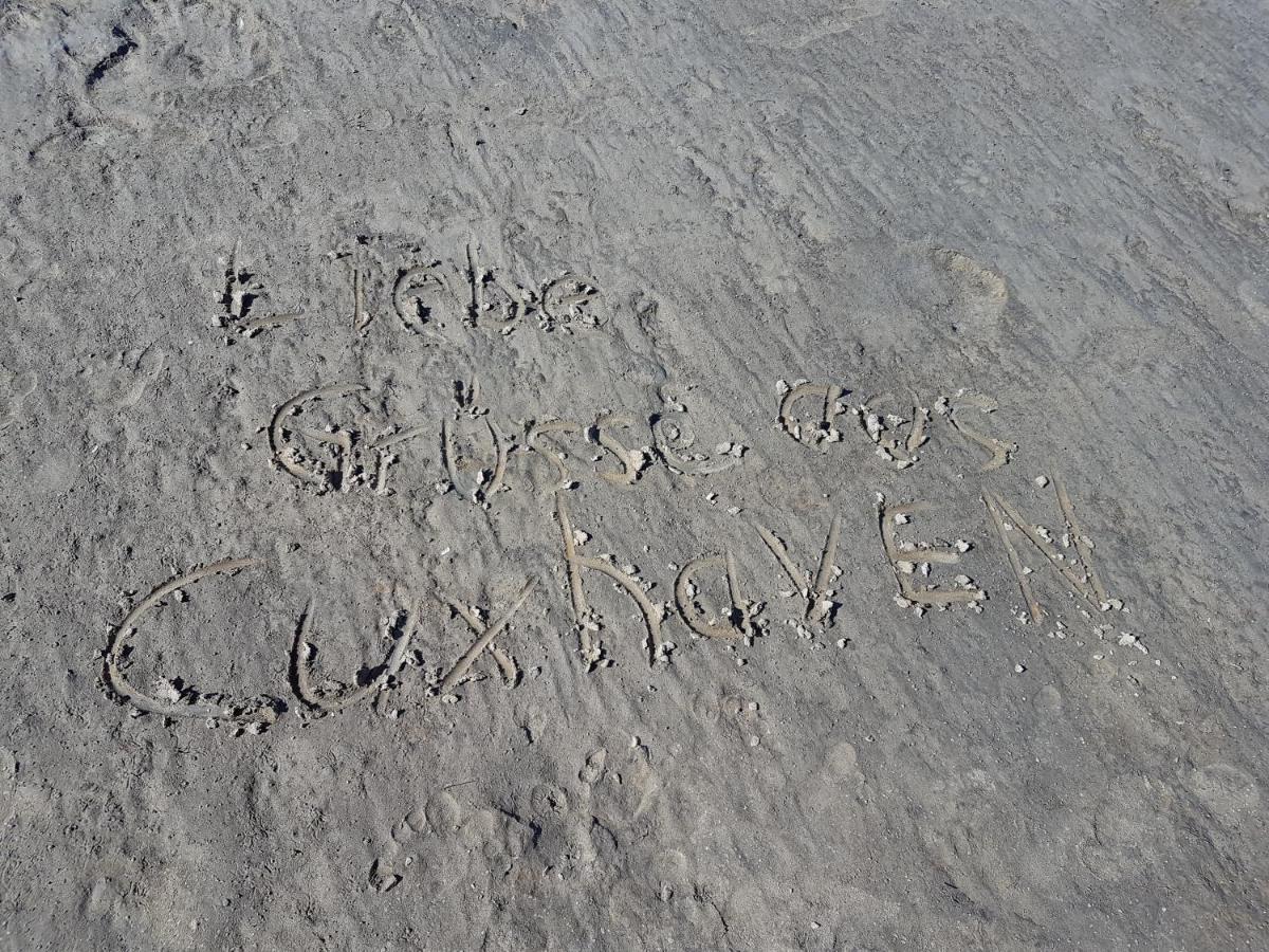 Kleine Nixe Seestern Cuxhaven Zewnętrze zdjęcie